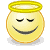wiki:icons:face-angel-50x50.png
